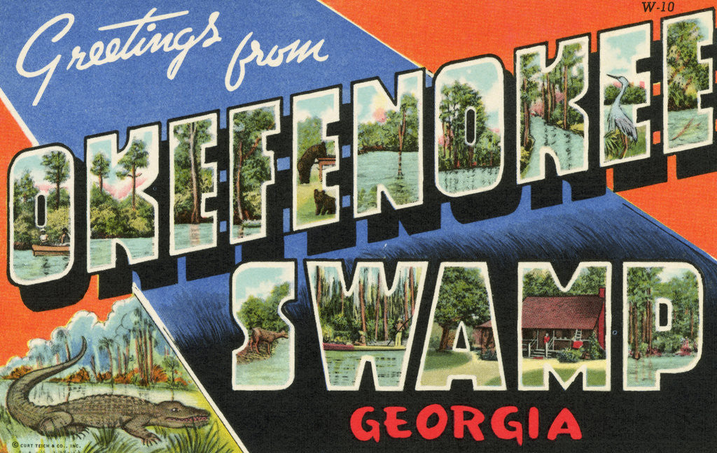 Detail of Greeting Card from Okefenokee Swamp by Corbis