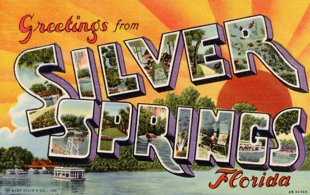 Detail of Greeting Card from Silver Springs, Florida by Anonymous