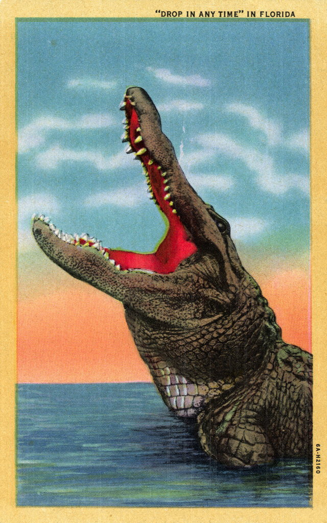 Detail of Drop in Any Time in Florida Postcard by Anonymous