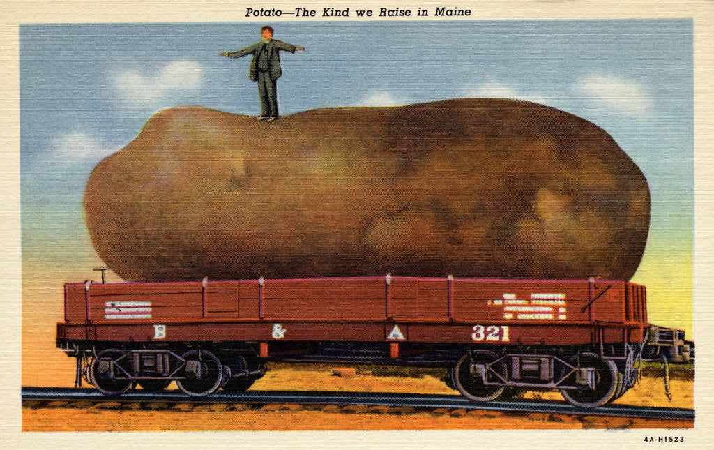 Detail of Giant Potato on a Train Car by Anonymous