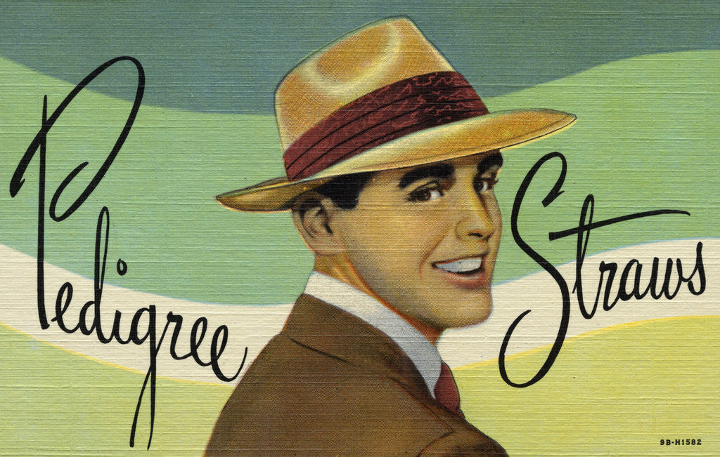 Detail of Pedigree Straws Advertisement by Anonymous