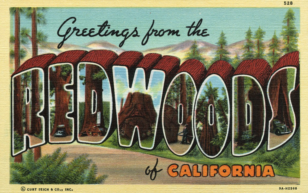 Detail of Greeting Card from the Redwoods by Anonymous