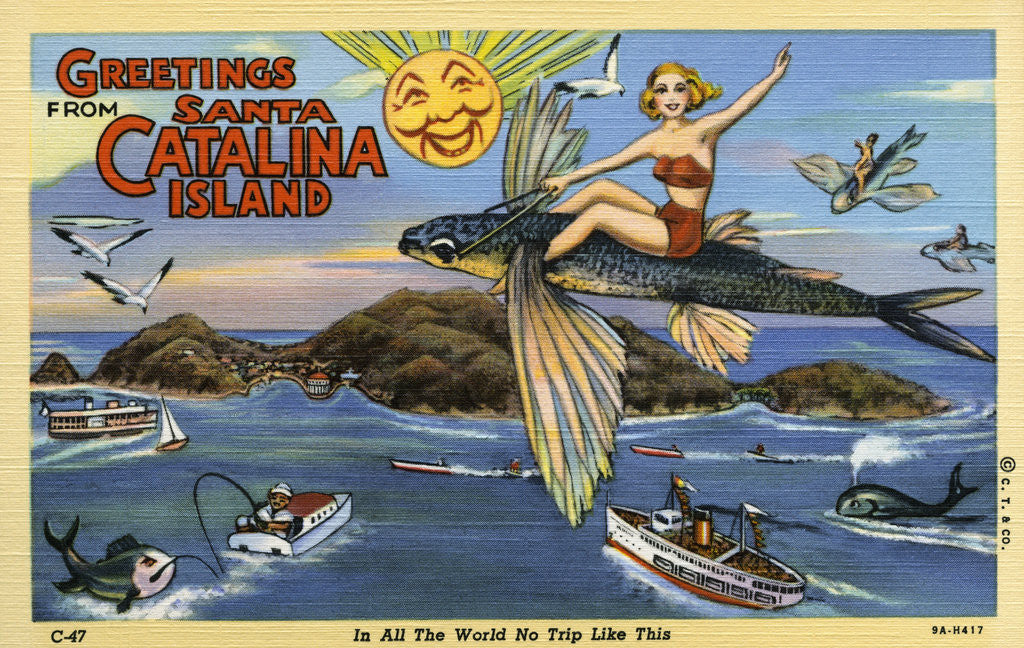Detail of Greeting Card from Santa Catalina Island by Anonymous