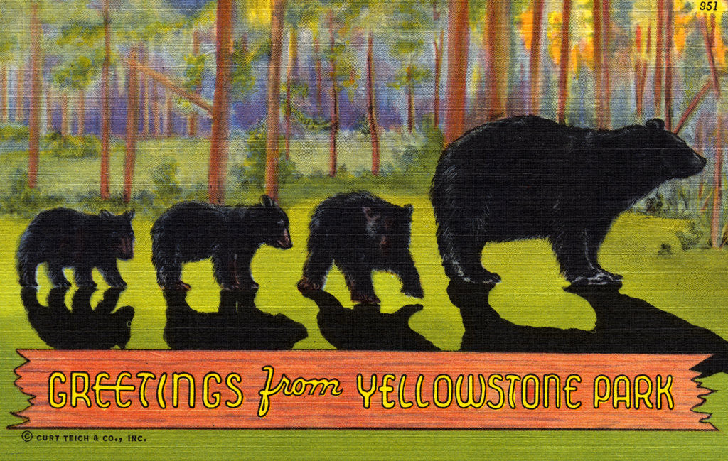 Detail of Greetings from Yellowstone Park Postcard by Corbis