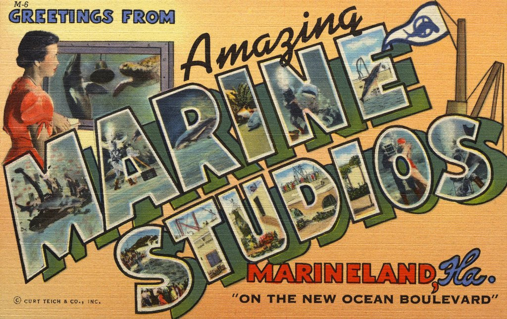 Detail of Greeting Card from Marineland by Anonymous