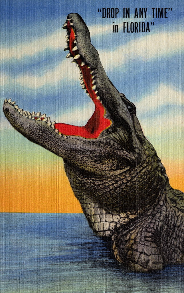 Detail of Drop in Any Time in Florida Postcard by Anonymous