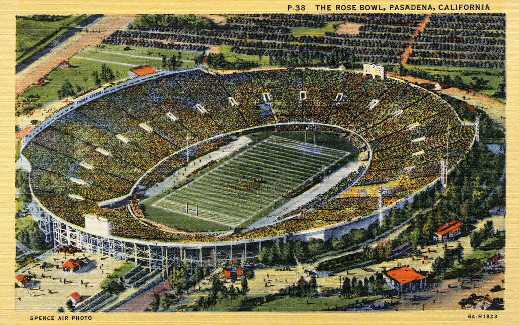 Detail of The Rose Bowl by Anonymous
