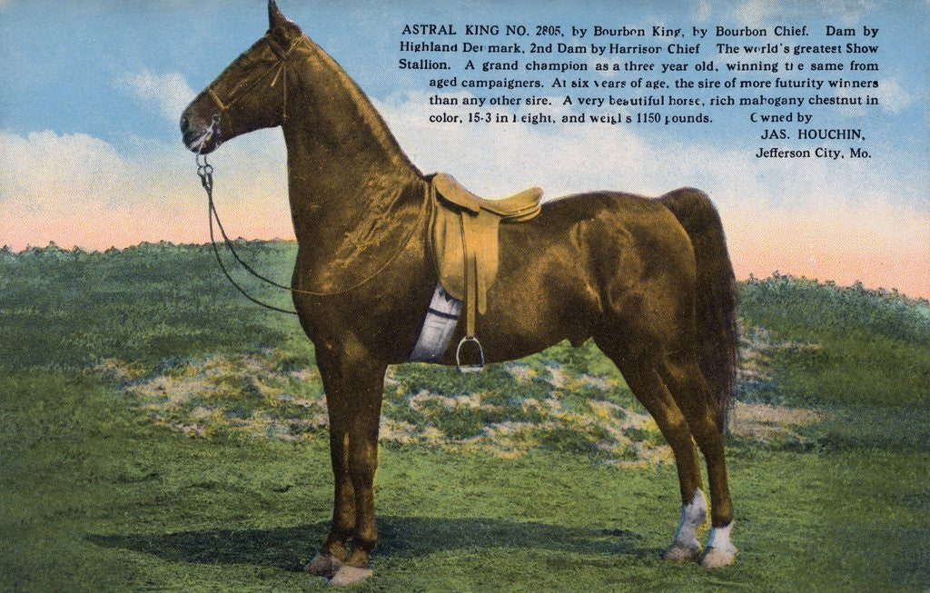 Detail of Postcard of Astral King by Anonymous