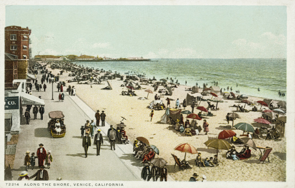 Detail of Along the Shore, Venice, California Postcard by Anonymous