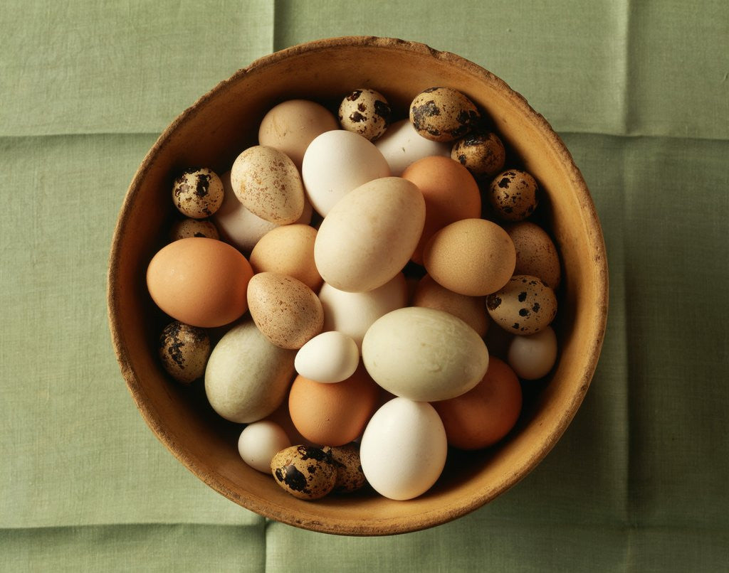 Detail of Variety of Eggs in a Bowl by Corbis