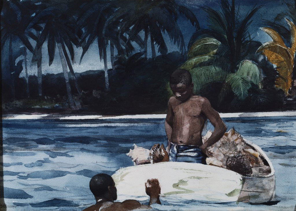 Detail of West Indian Divers by Corbis