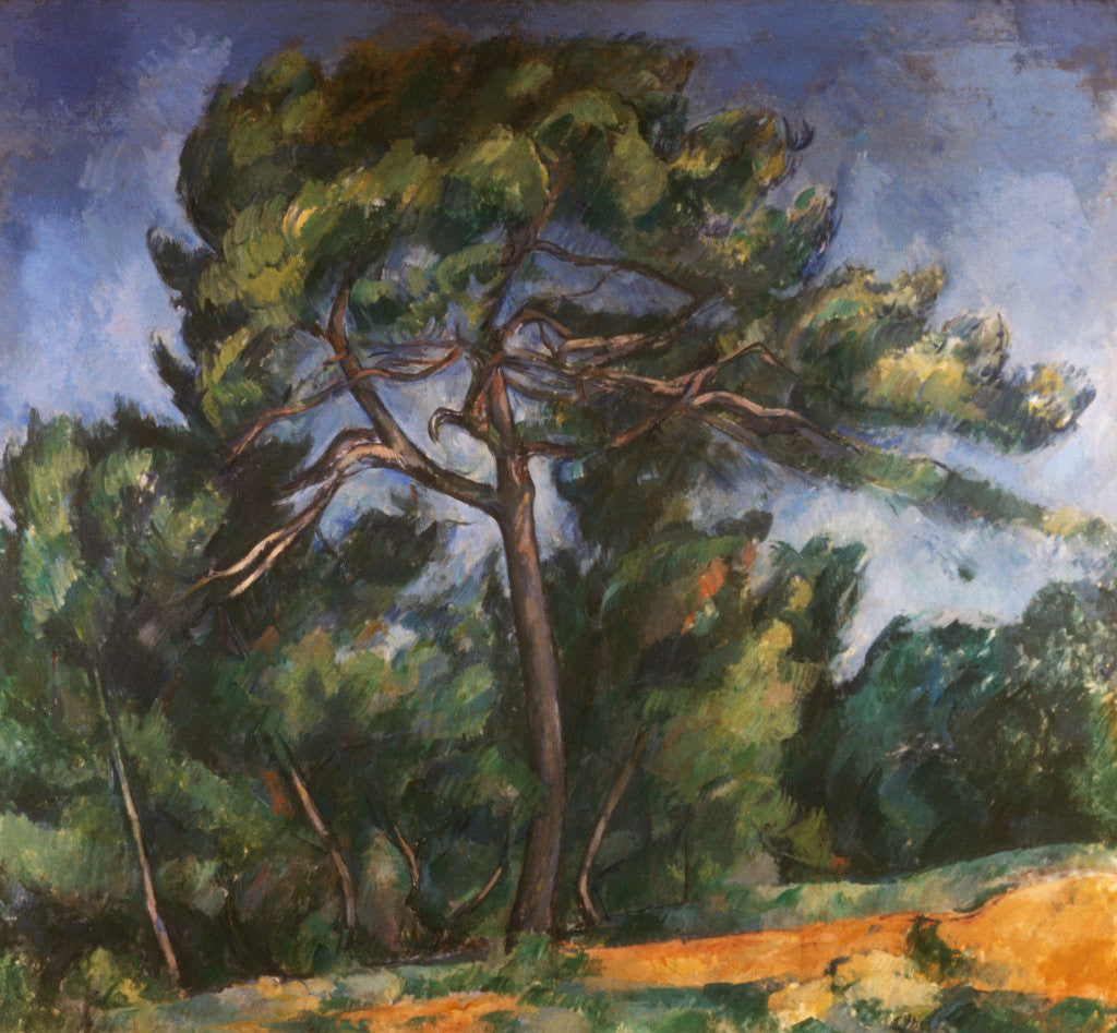 Detail of Tall Pine by Paul Cezanne