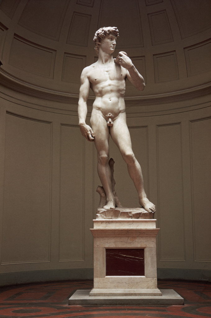 Detail of David by Michelangelo