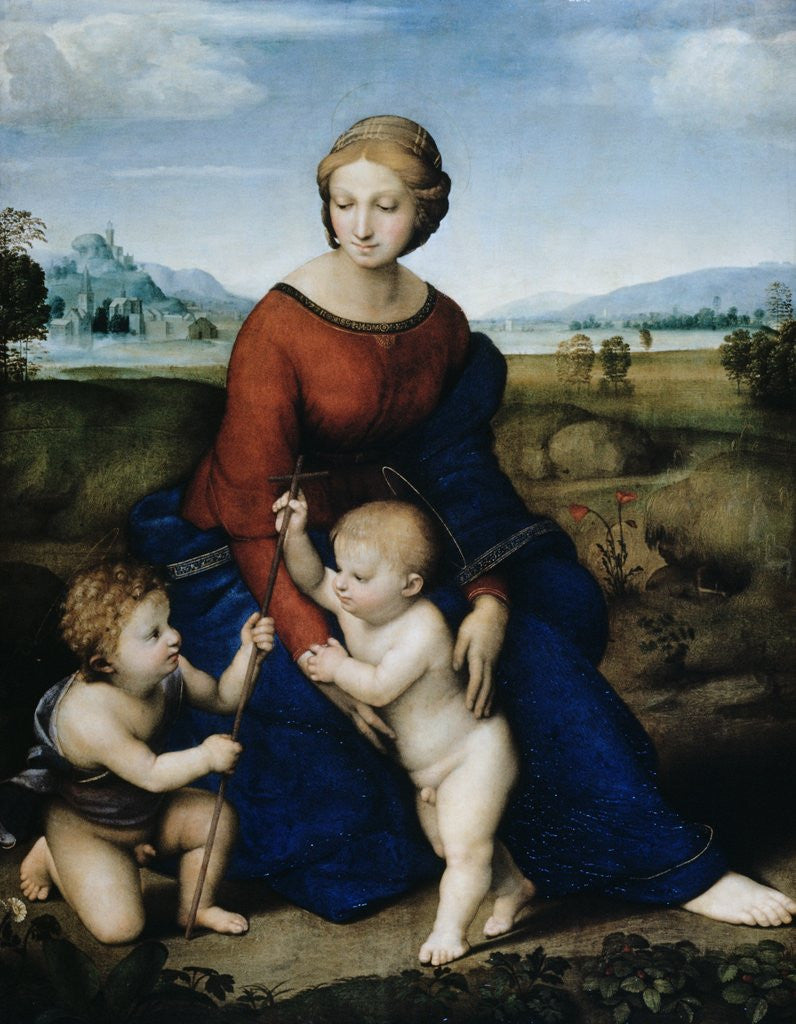 Detail of Madonna of the Meadow by Raphael