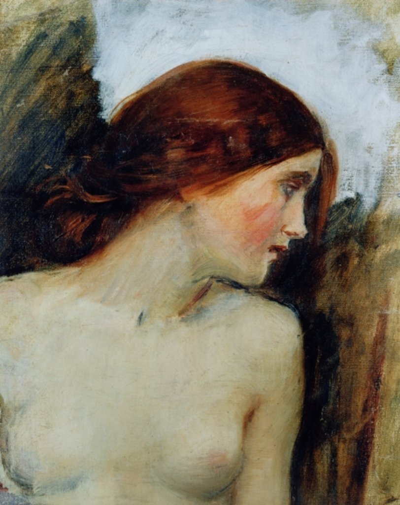 Detail of Study for the Head of Echo, c.1903 by John William Waterhouse