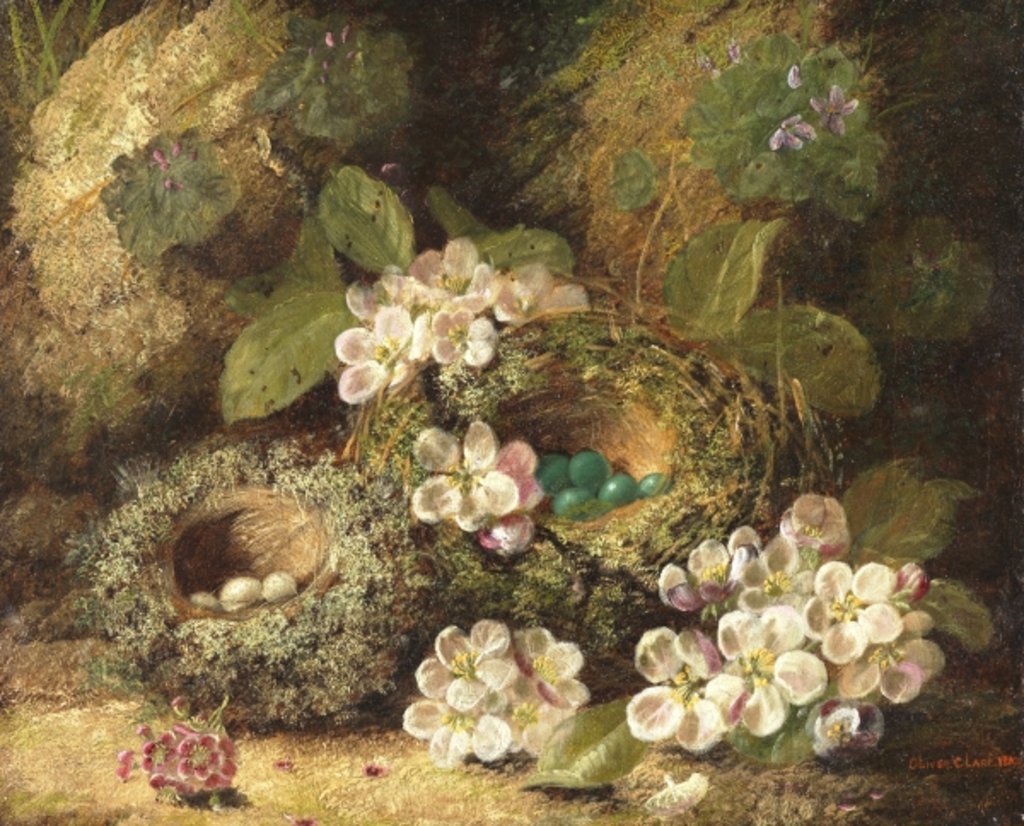 Detail of Primroses and Bird's Nests on a Mossy Bank, 1882 by Oliver Clare