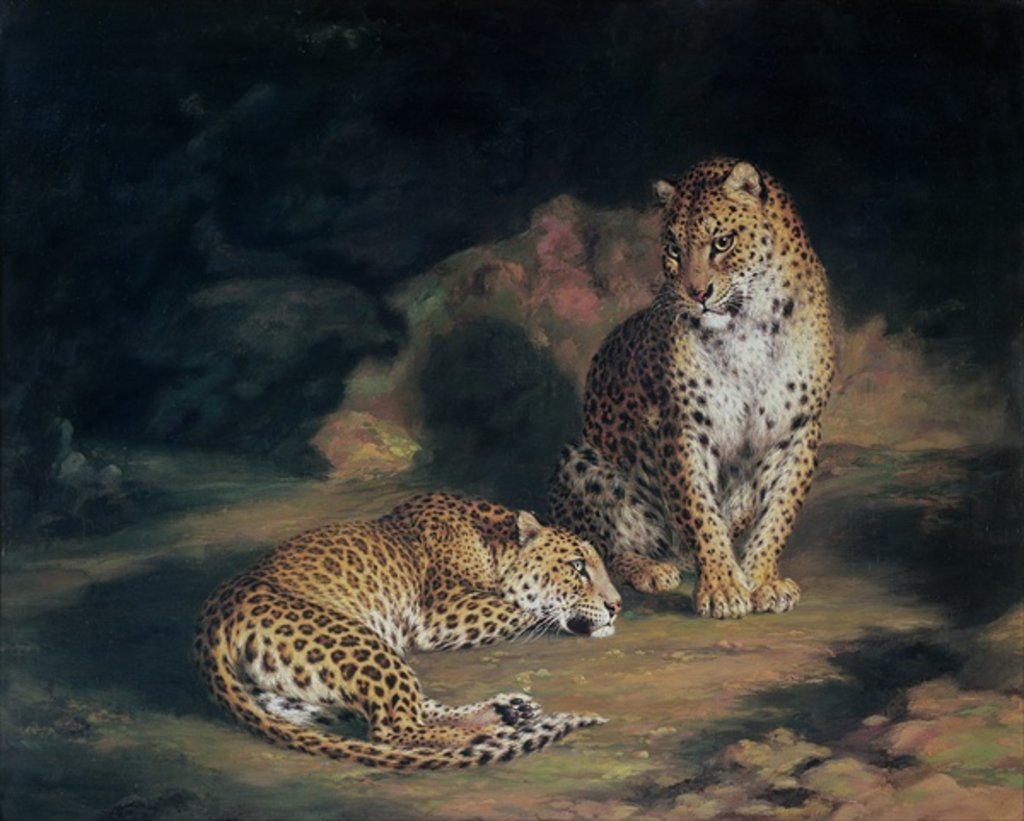 Detail of A Pair of Leopards, 1845 by William Huggins