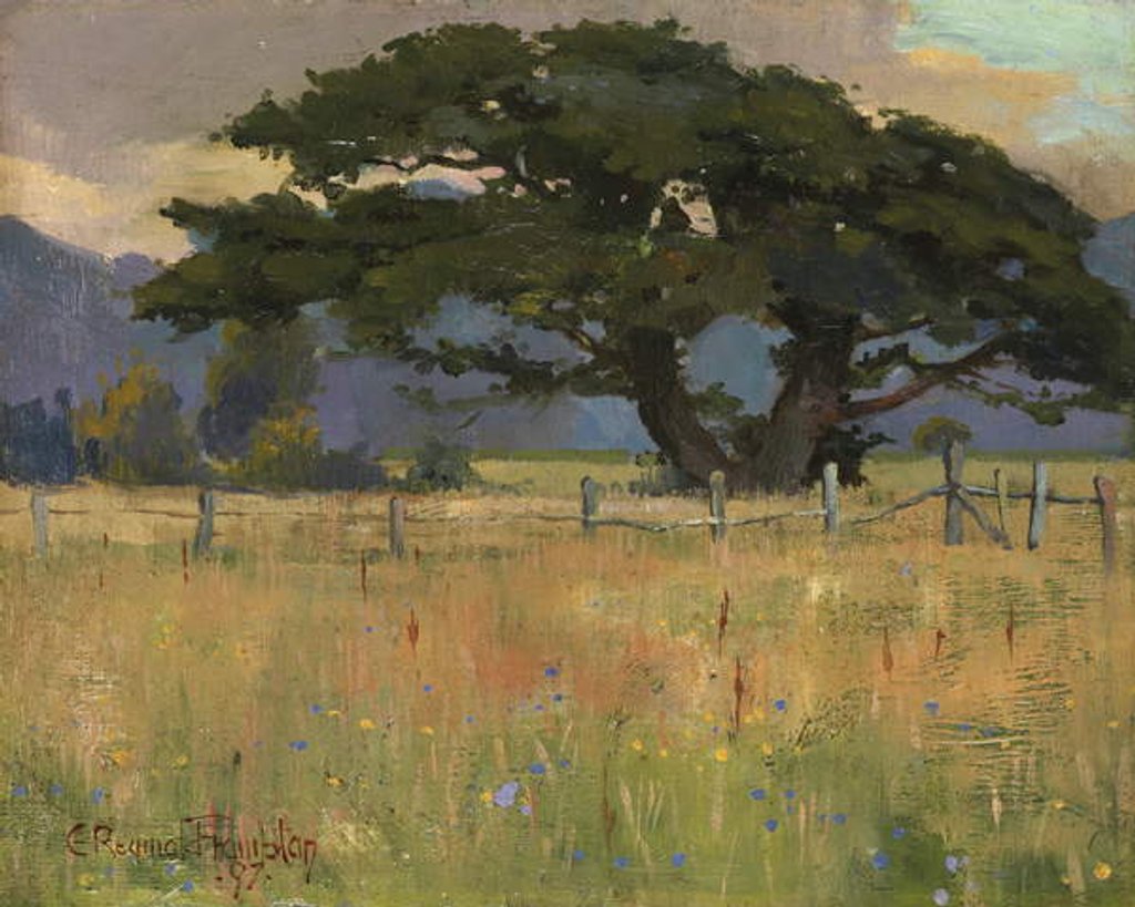 Detail of A Meadow beneath Mountains, 1897 by Edward Reginald Frampton