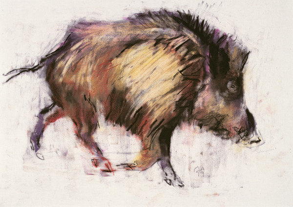 Detail of Wild Boar Trotting, 1999 by Mark Adlington