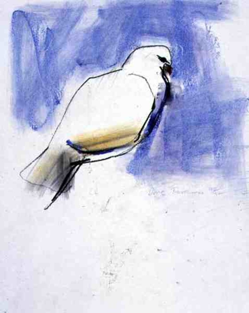 Detail of Dove, Trasierra, 1998 by Mark Adlington
