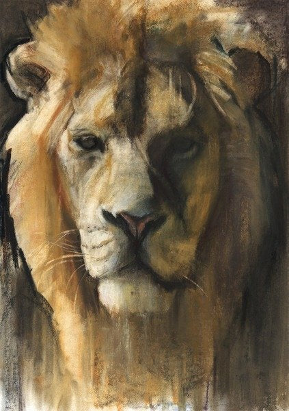Detail of Asiatic Lion, 2015 by Mark Adlington