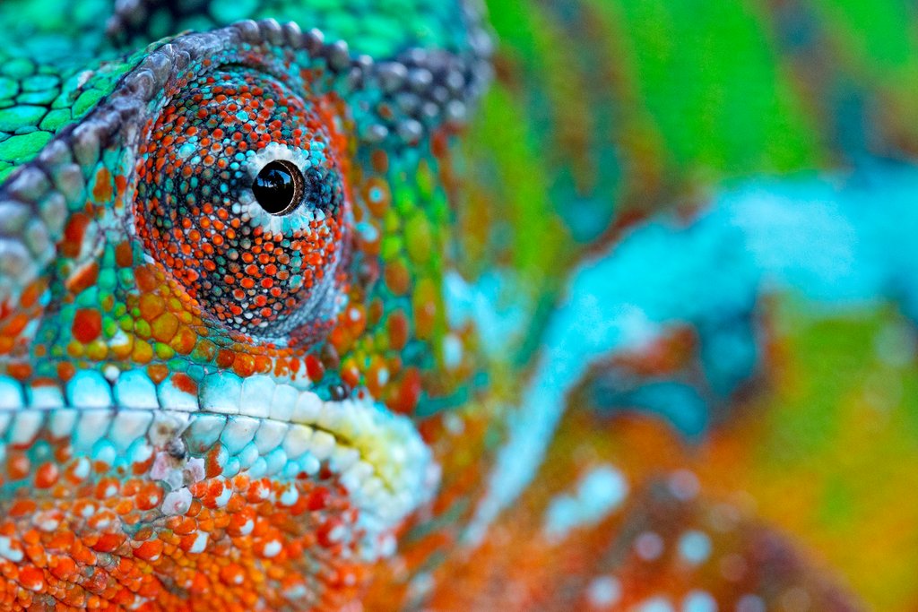 Detail of Rainbow visions by @wildmanrouse