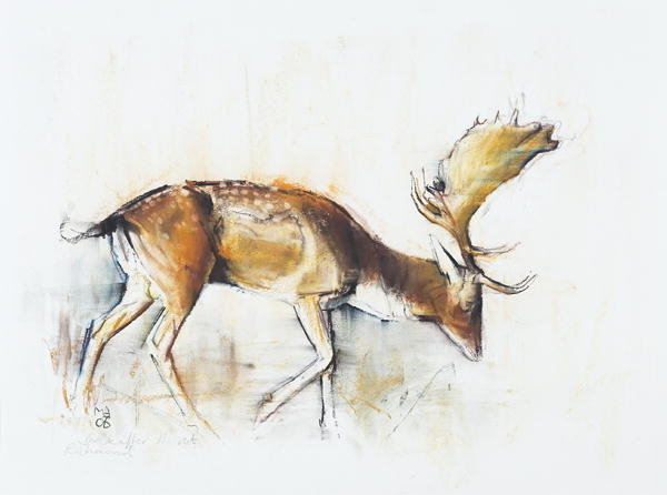Detail of Pisanello Buck, 2006 by Mark Adlington