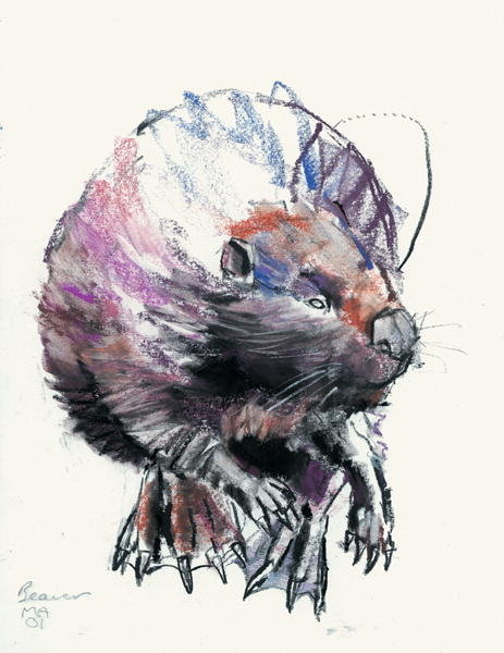 Detail of Beaver, 2001 by Mark Adlington