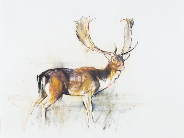 Detail of Study of a Stag by Mark Adlington