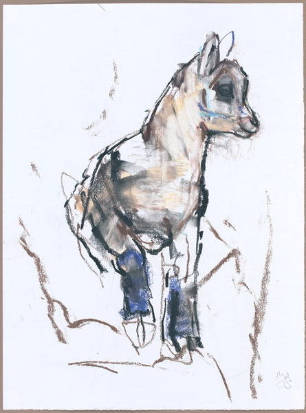 Detail of Ibex Kid by Mark Adlington