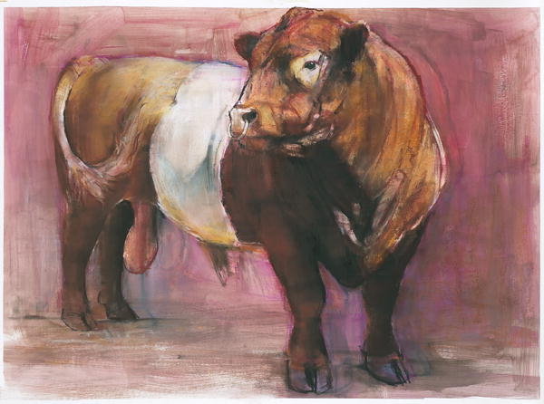 Detail of Zeus, Red Belted Galloway Bull, 2006 by Mark Adlington
