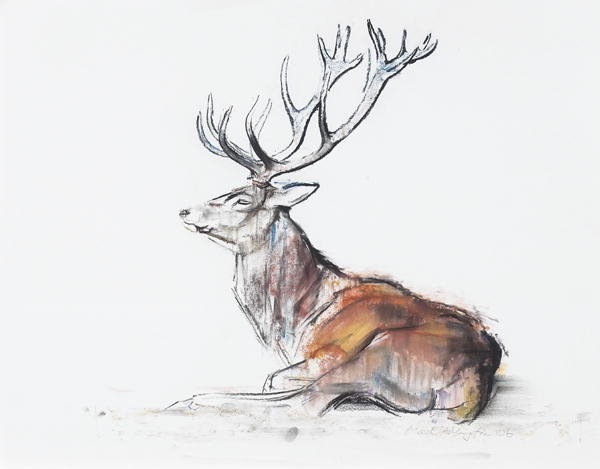 Detail of Seated Stag, 2006 by Mark Adlington