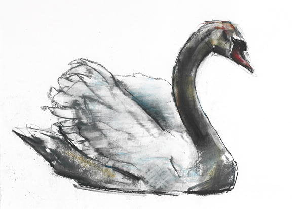 Detail of Swan by Mark Adlington