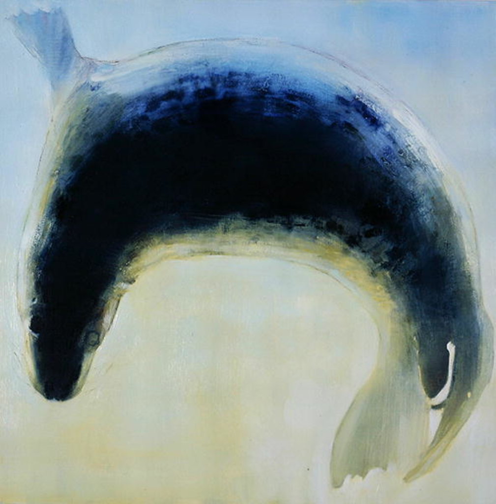 Detail of Seal Circle, 2003 by Mark Adlington
