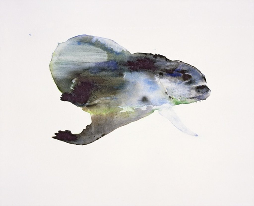 Detail of Underwater by Mark Adlington