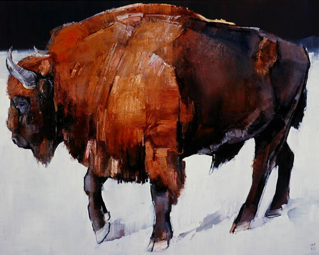 Detail of European Bison by Mark Adlington