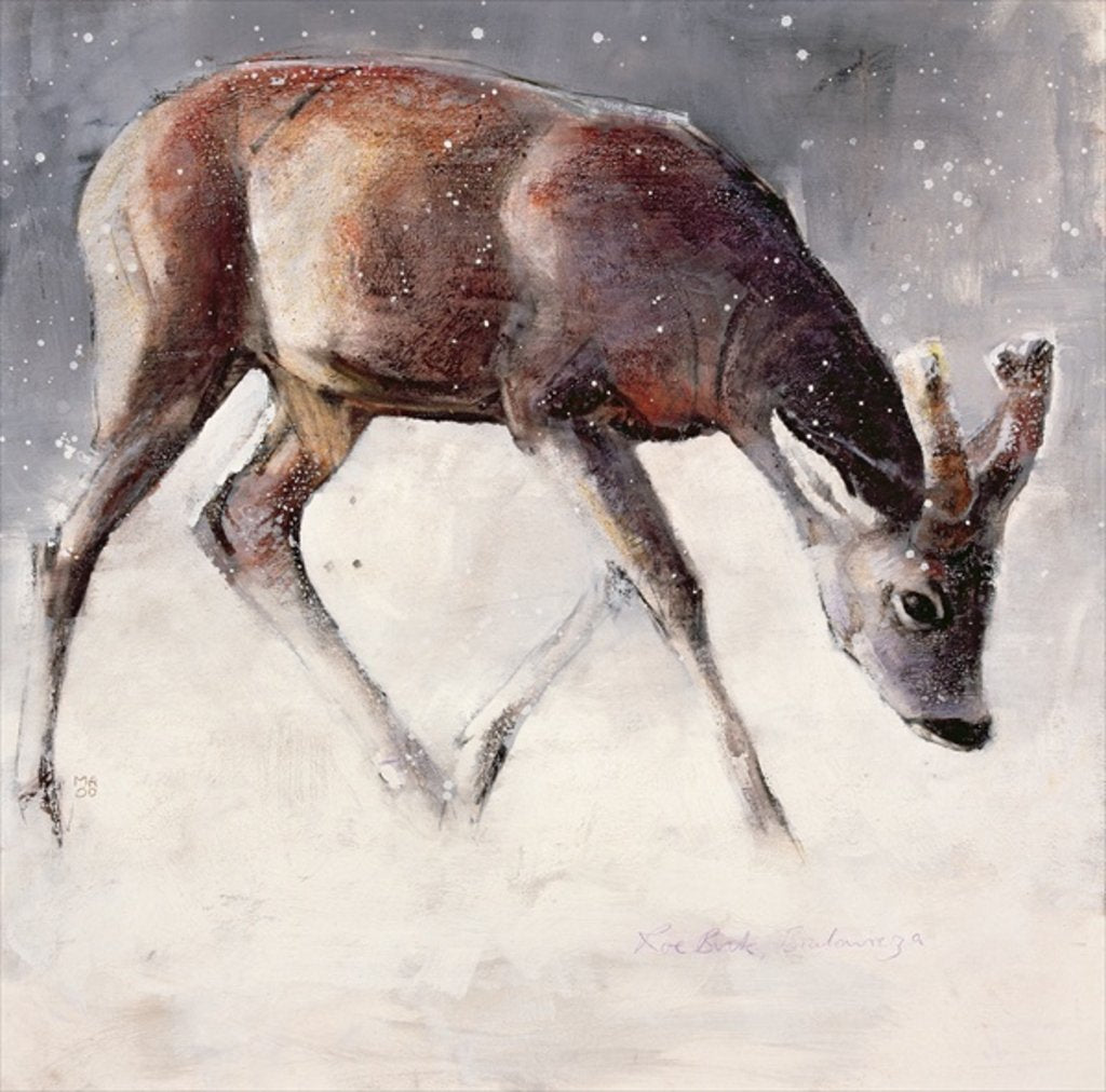 Detail of Roe Buck, Winter, 2000 by Mark Adlington