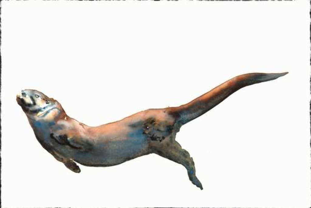 Detail of Dog Otter, 2014 by Mark Adlington