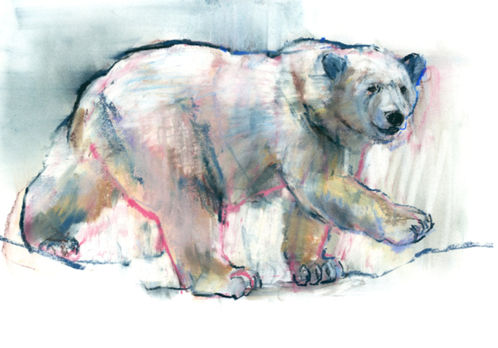 Detail of Pink, 2016 by Mark Adlington