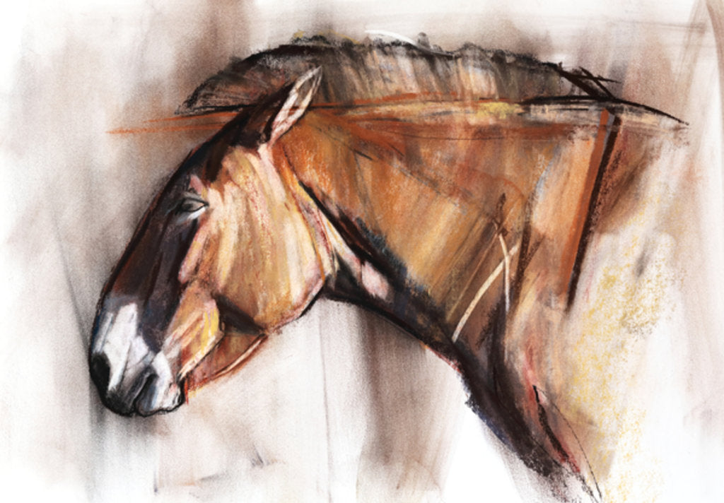 Detail of Resting Horse, 2013 by Mark Adlington