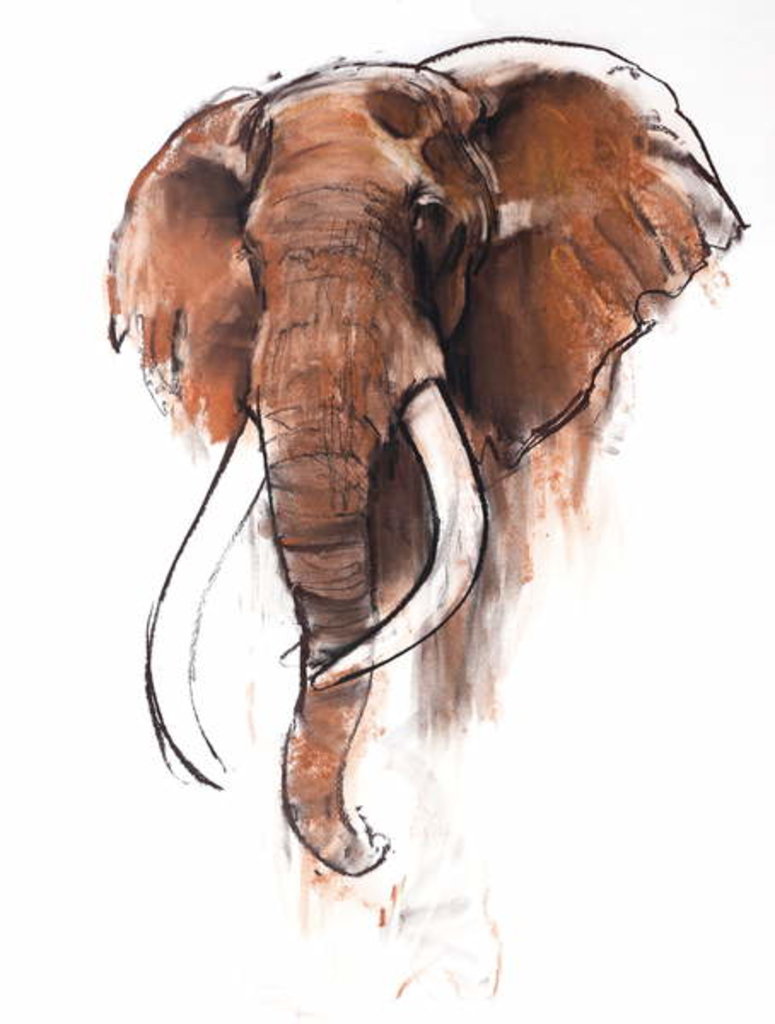 Detail of Untitled by Mark Adlington