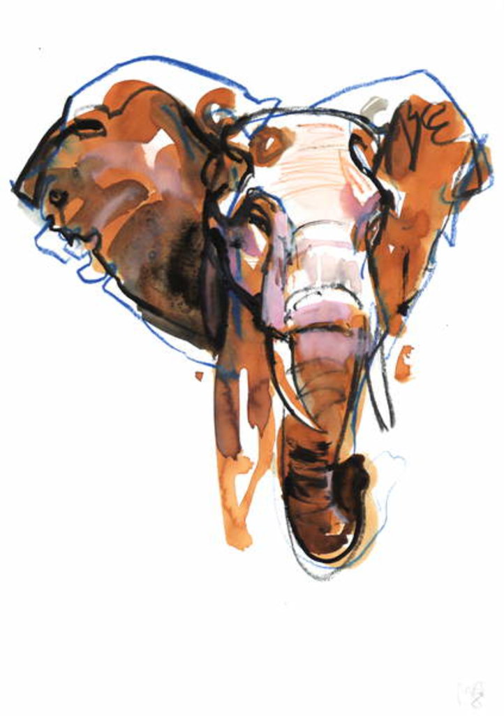 Detail of Elephant Head study, 2018 by Mark Adlington