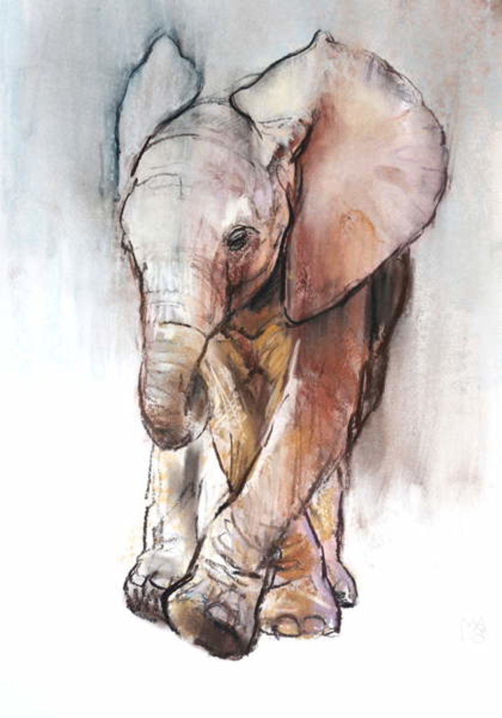 Detail of Baby Elephant 2, Loisaba, 2018 by Mark Adlington