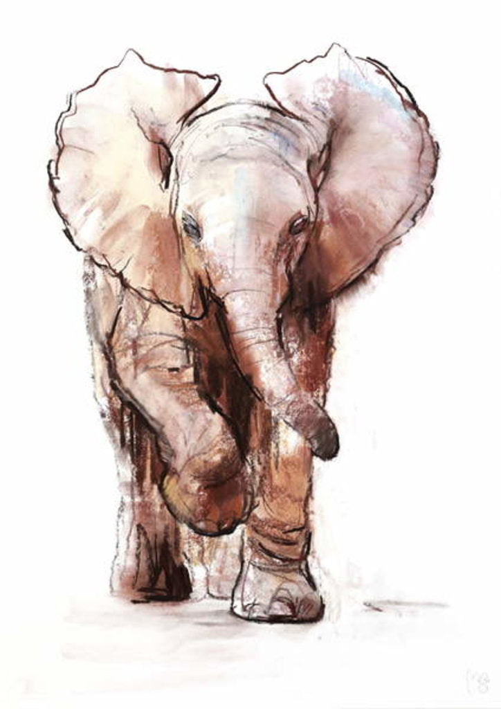 Detail of Baby Elephant, Loisaba, 2018 by Mark Adlington