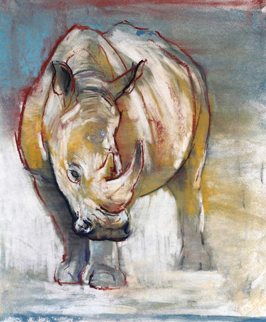Detail of White Rhino, Ol Pejeta, 2018 by Mark Adlington