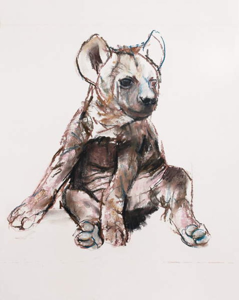 Detail of Hyaena Pup, 2019 by Mark Adlington