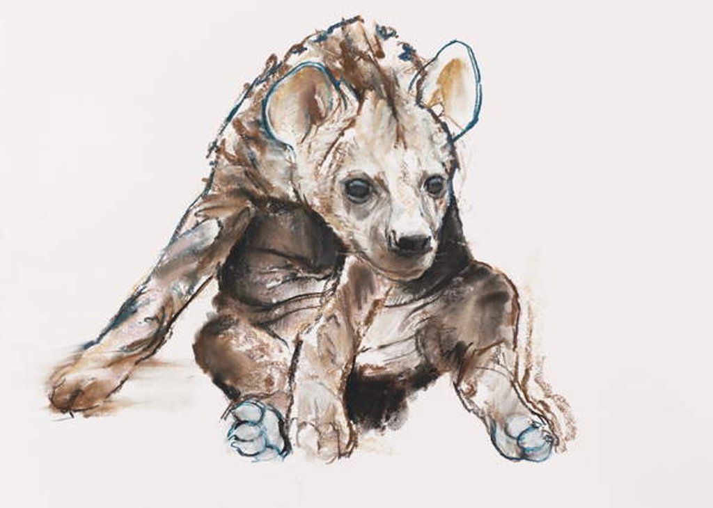 Detail of Hyaena Pup, 2019 by Mark Adlington