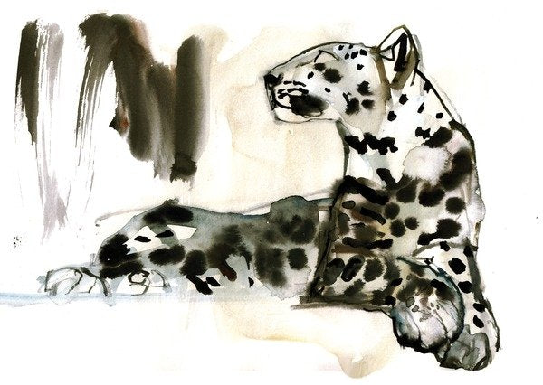Detail of Arabian Leopard, 2008 by Mark Adlington
