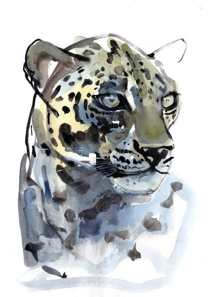 Detail of Arabian Leopard, 2008 by Mark Adlington