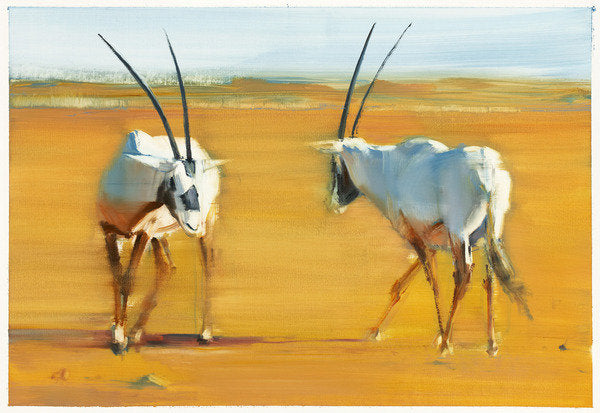 Detail of Circling Arabian Oryx, 2010 by Mark Adlington